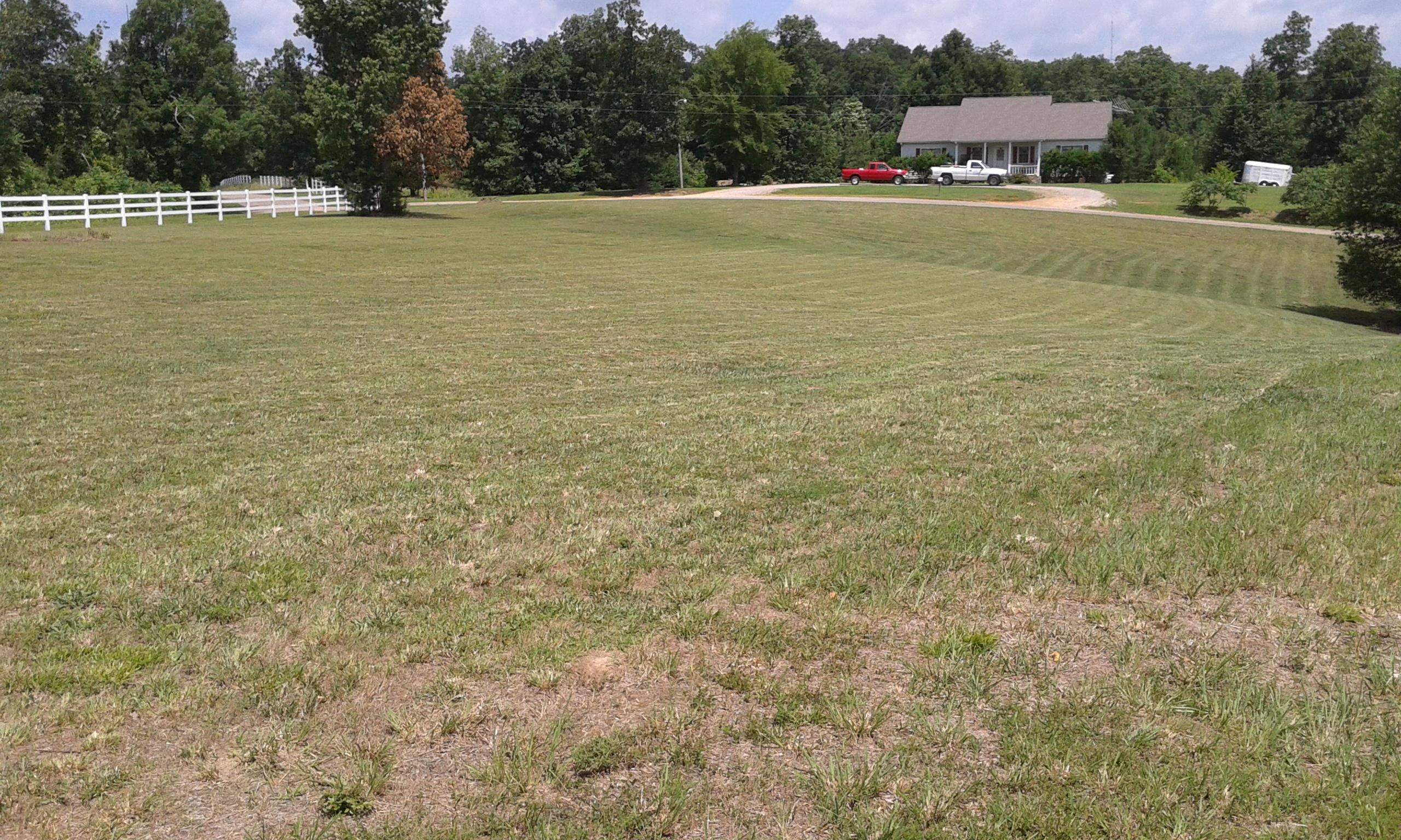 0 Mayhall Road Counce, TN 38326 - Photo 7 of 10 Gallery Image 7