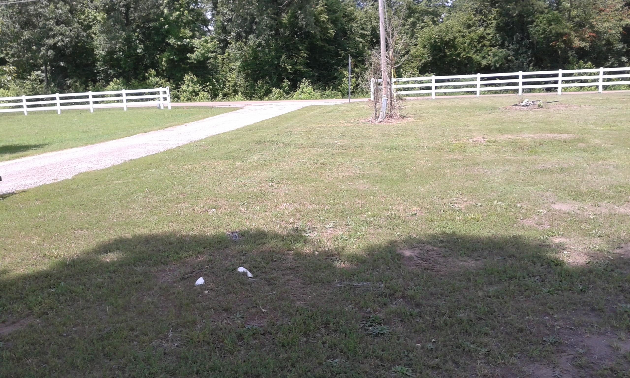 0 Mayhall Road Counce, TN 38326 - Photo 8 of 10 Gallery Image 8
