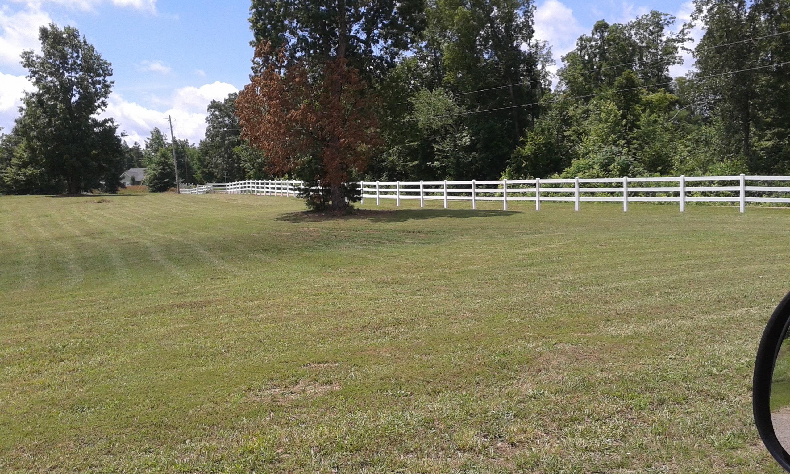0 Mayhall Road Counce, TN 38326 - Photo 9 of 10 Gallery Image 9