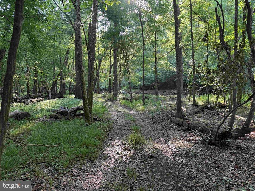 Sarecta Road Kenansville, NC 28349 - Photo 26 of 28