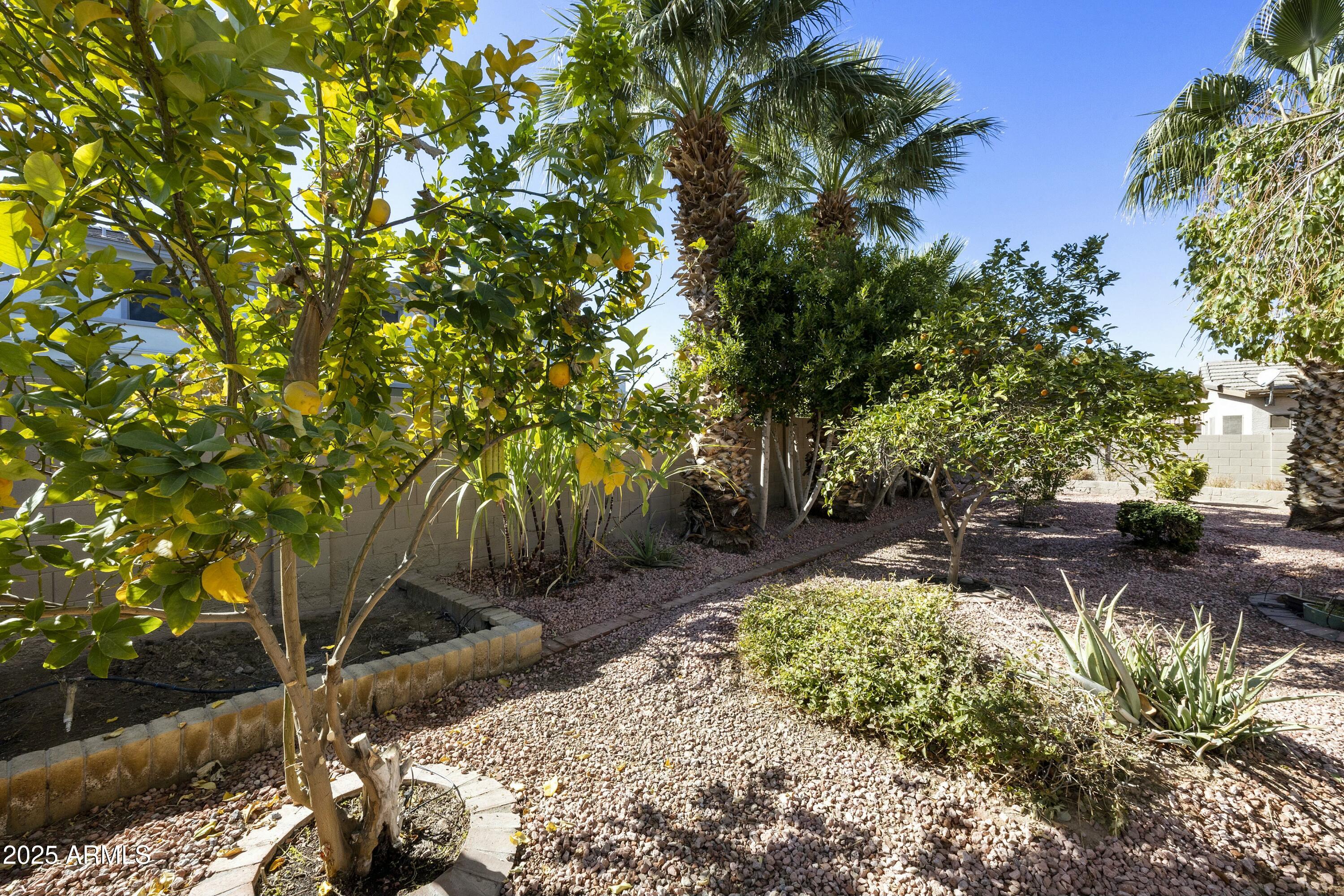 4615 West Corral Road Laveen, AZ 85339 - Photo 44 of 48 a backyard of a house with lots of green space