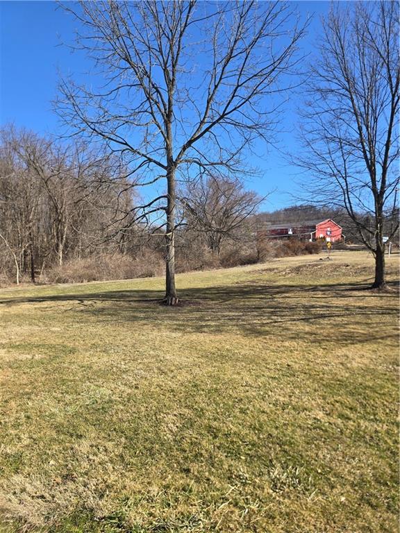 770 Pittsburgh Road Butler, PA 16002 - Photo 28 of 32 a view of a yard with a house