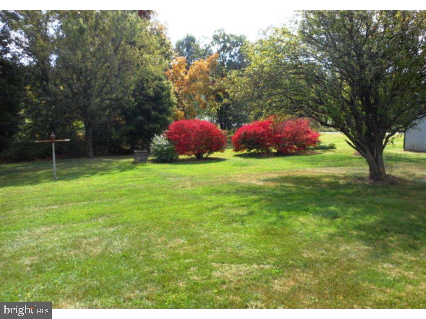 282 Sweet Arrow Lake Road Pine Grove, PA 17963 - Photo 19 of 23 Back Yard