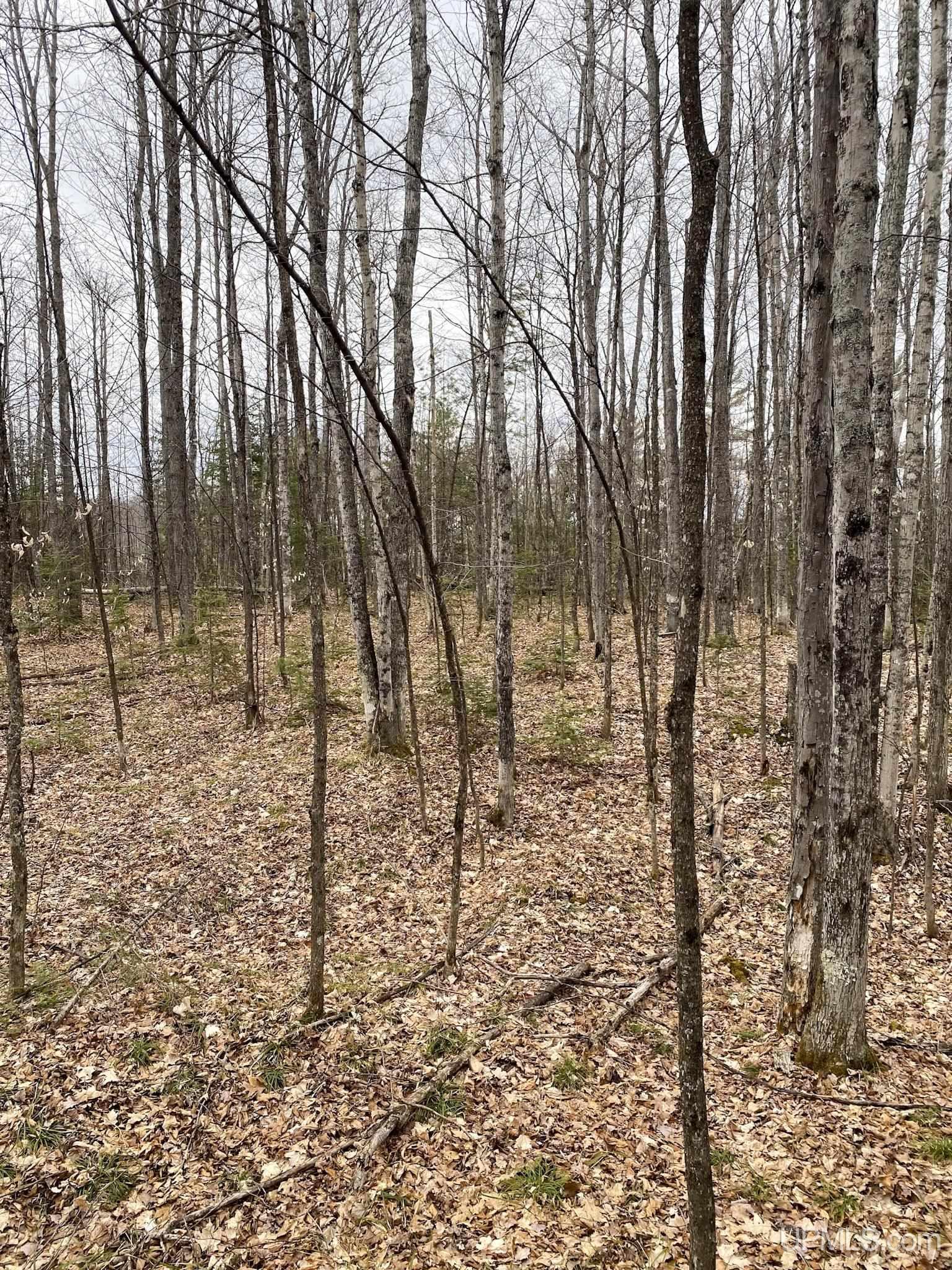 Tbd Tbd County Road Ishpeming, MI 49849 - Photo 24 of 24