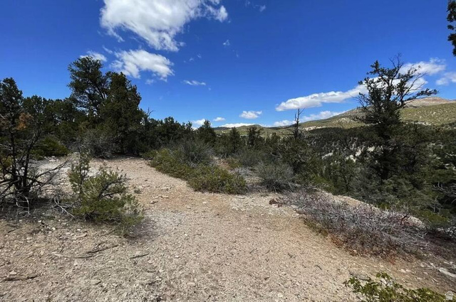 793 South Zion Road Orderville, UT 84758 - Photo 6 of 12 Expansive natural terrain featuring sparse vegetation, native trees, and distant mountain ranges under a clear sky