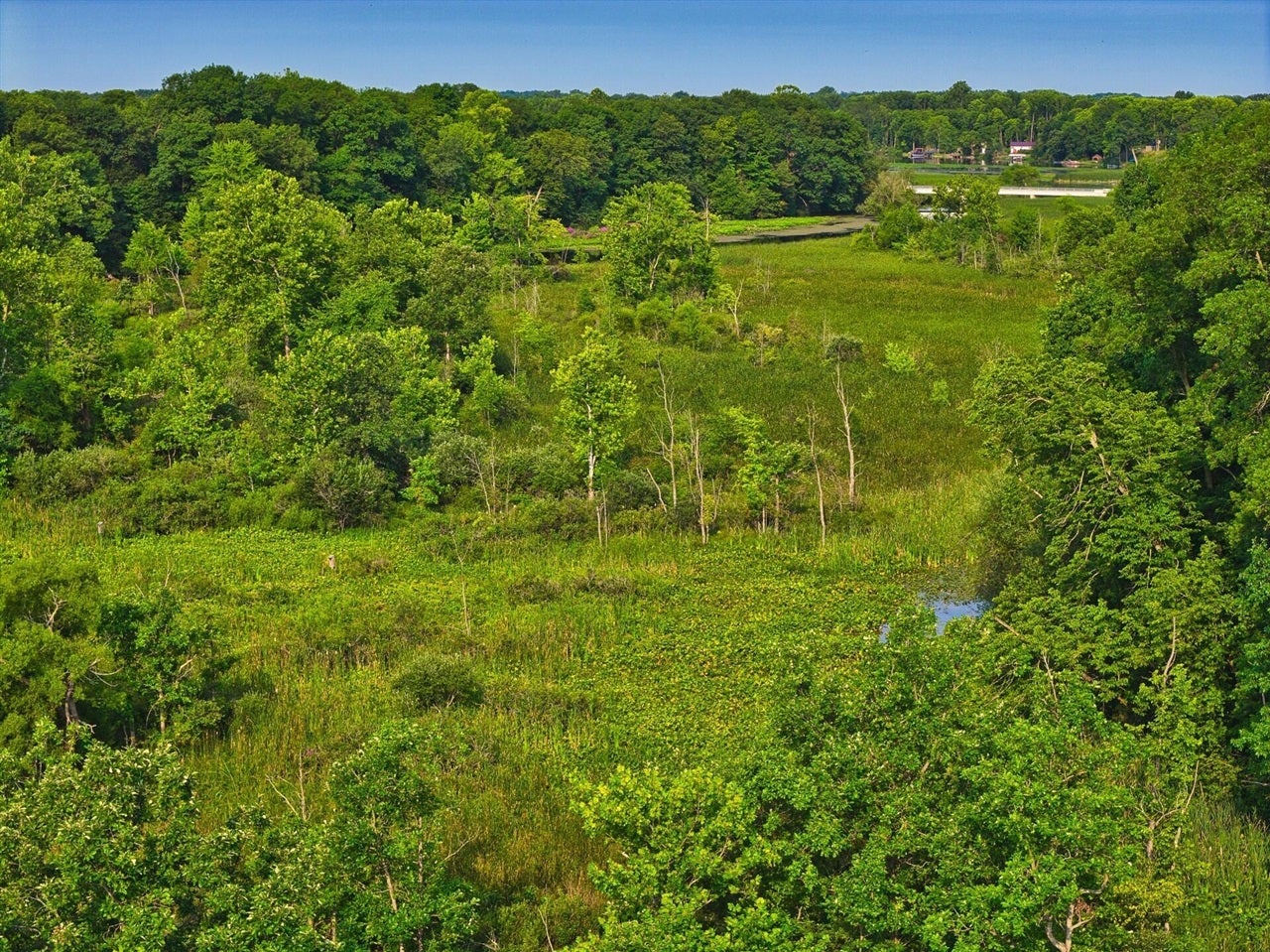 299 Rodeo Drive Union City, MI 49094 - Photo 76 of 94 Gallery Image 76