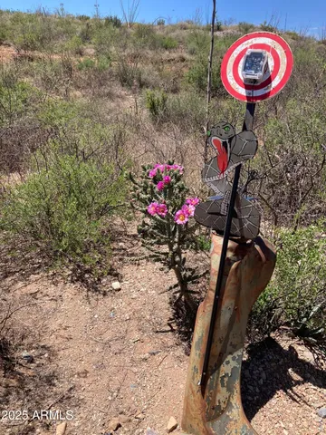 a view of a backyard with a fountain