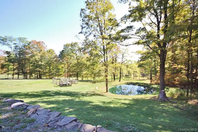 a view of yard with swimming pool and trees