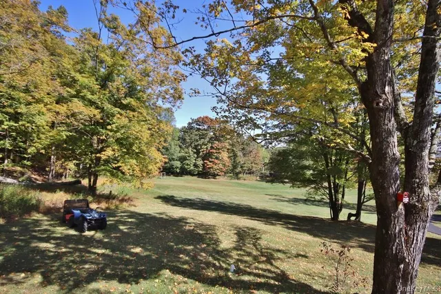 a view of a yard with an trees