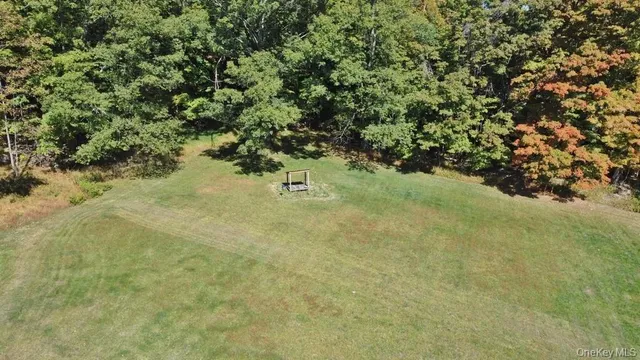 a view of a tree with a yard