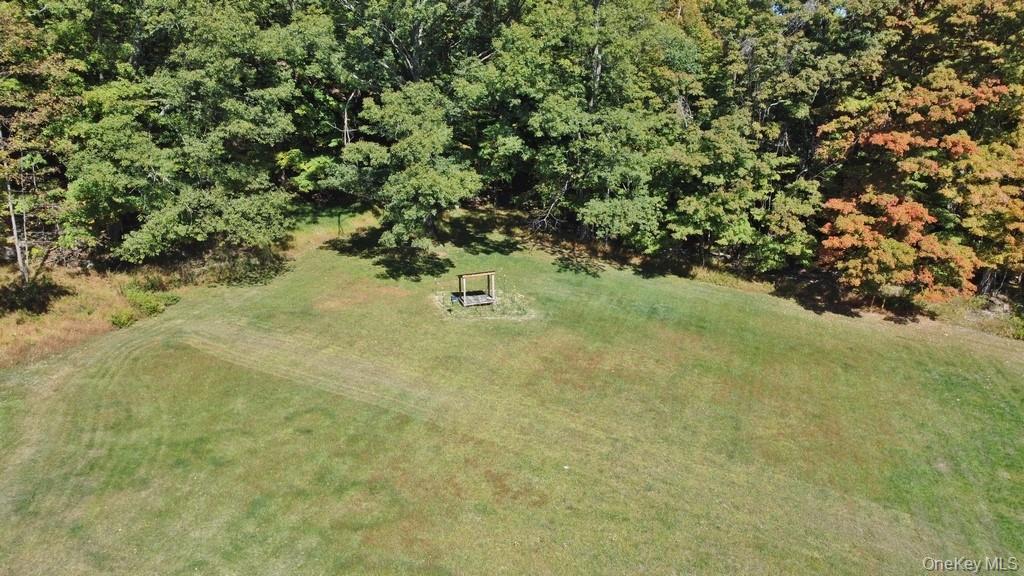 575 Roosa Gap Road Bloomingburg, NY 12721 - Photo 46 of 50 a view of a tree with a yard