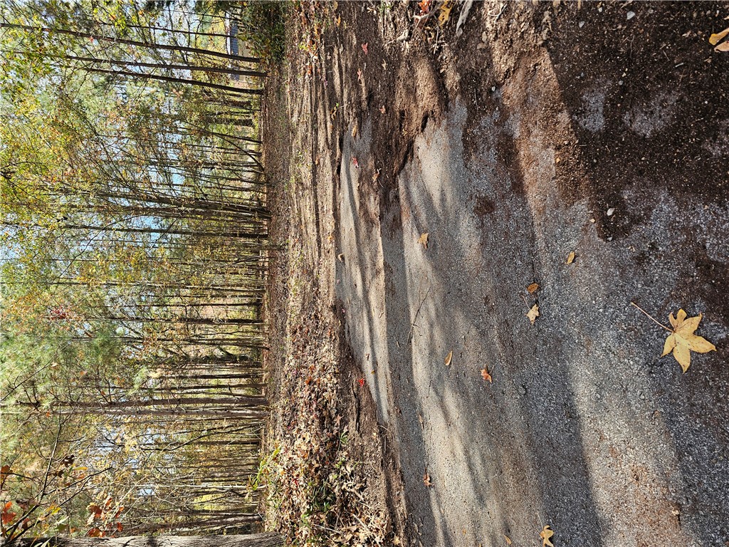 105 Wade Road Williamston, SC 29697 - Photo 3 of 8