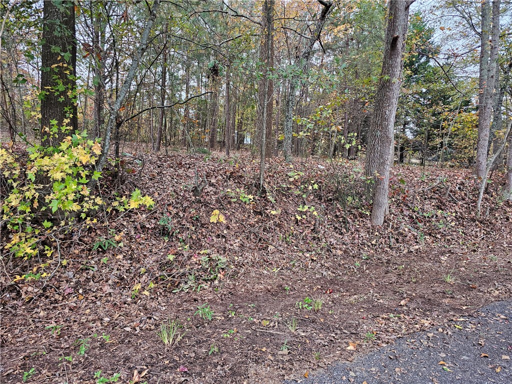 105 Wade Road Williamston, SC 29697 - Photo 5 of 8