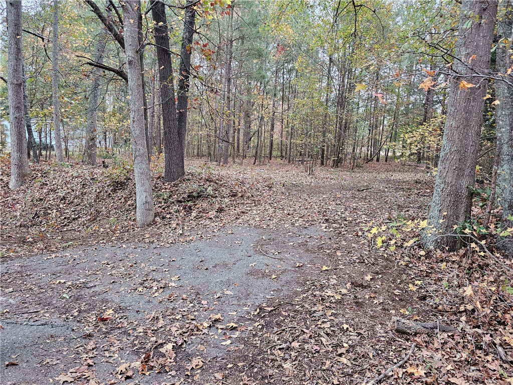 105 Wade Road Williamston, SC 29697 - Photo 6 of 8