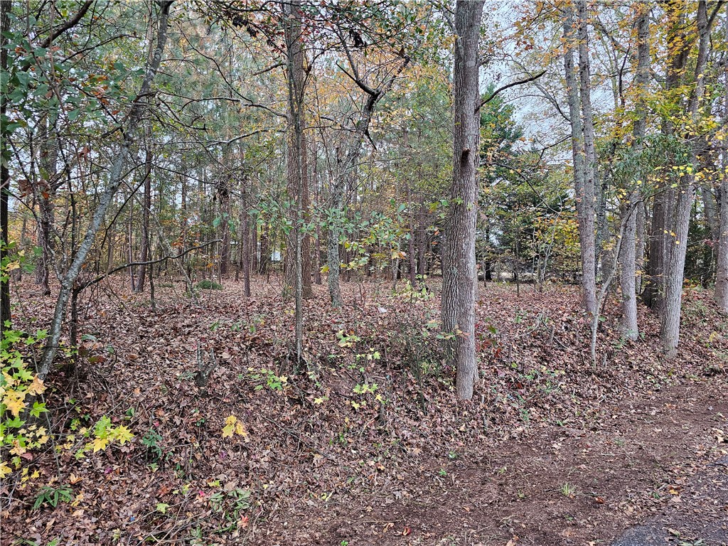 105 Wade Road Williamston, SC 29697 - Photo 7 of 8