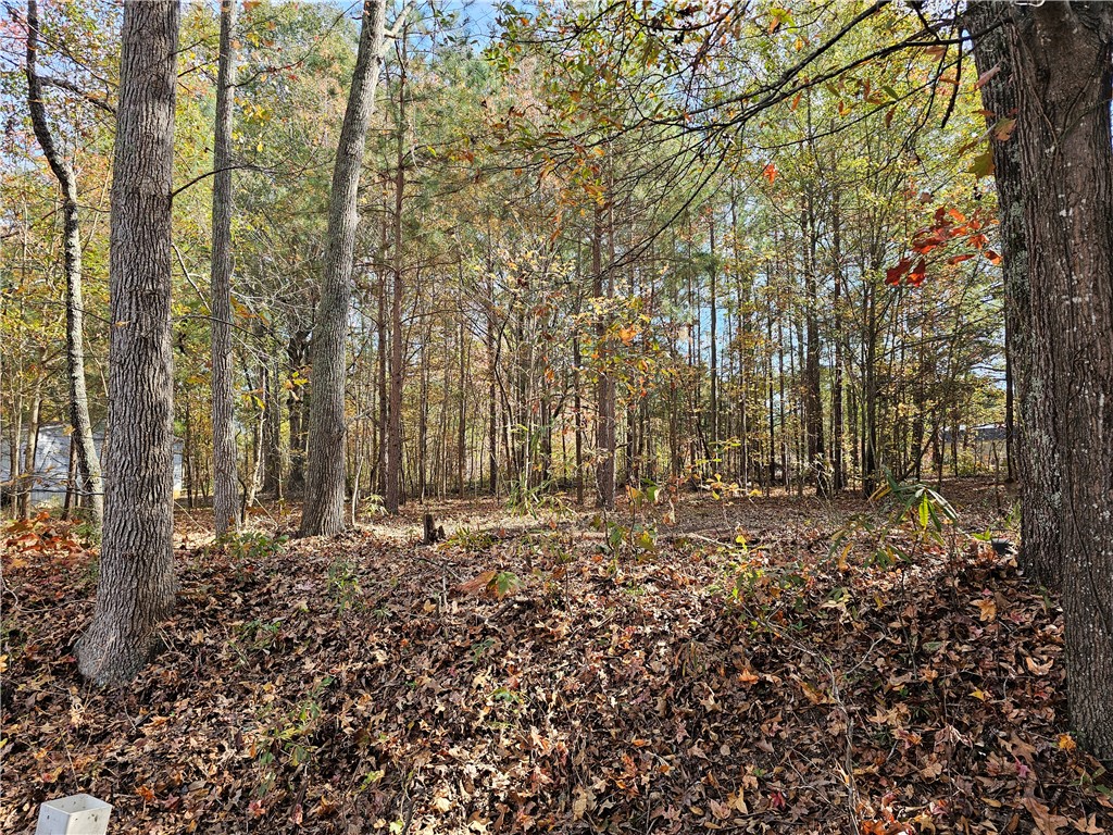 105 Wade Road Williamston, SC 29697 - Photo 8 of 8