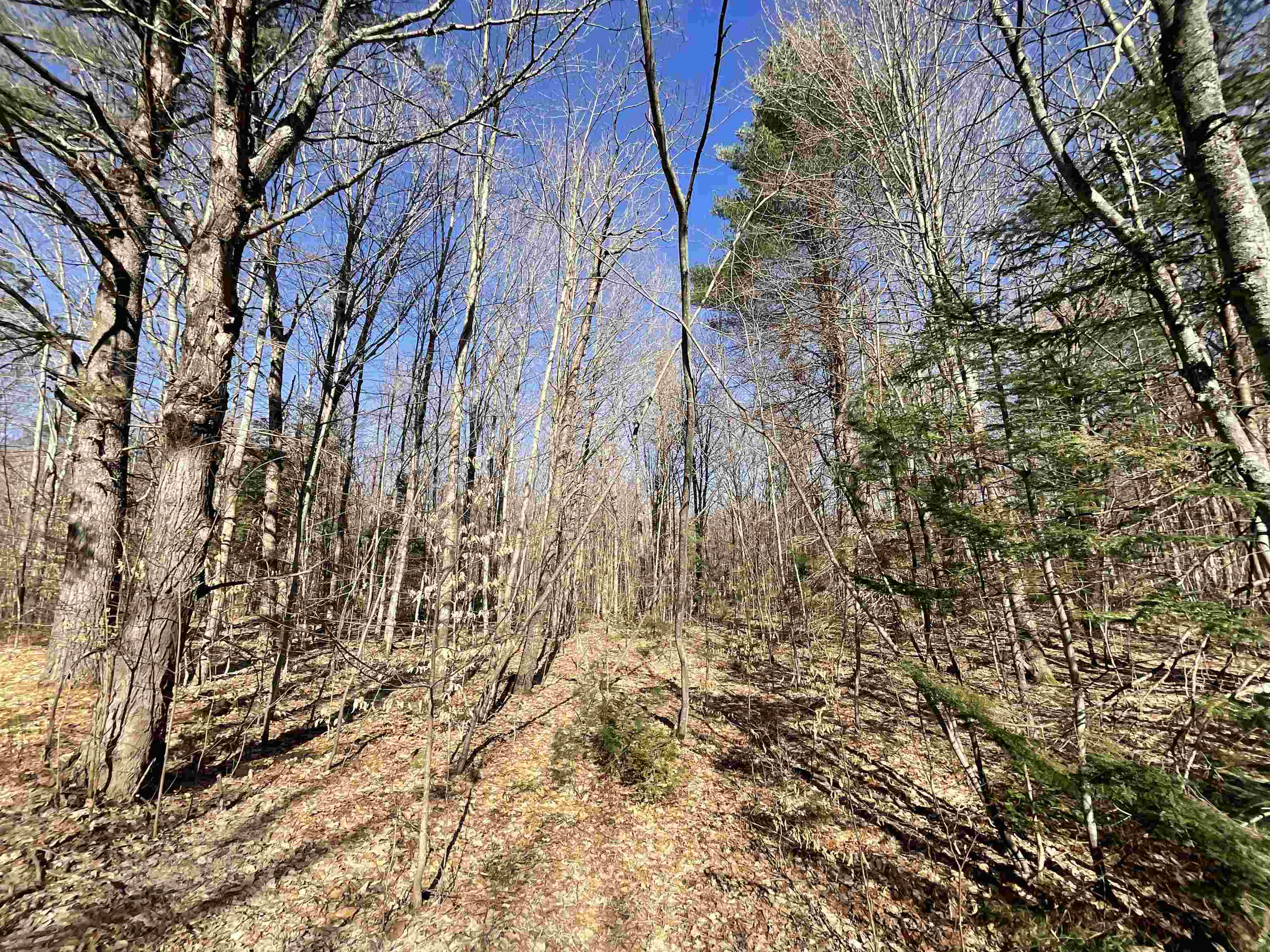 V/l Tower Road Northeast Kalkaska, MI 49646 - Photo 4 of 15