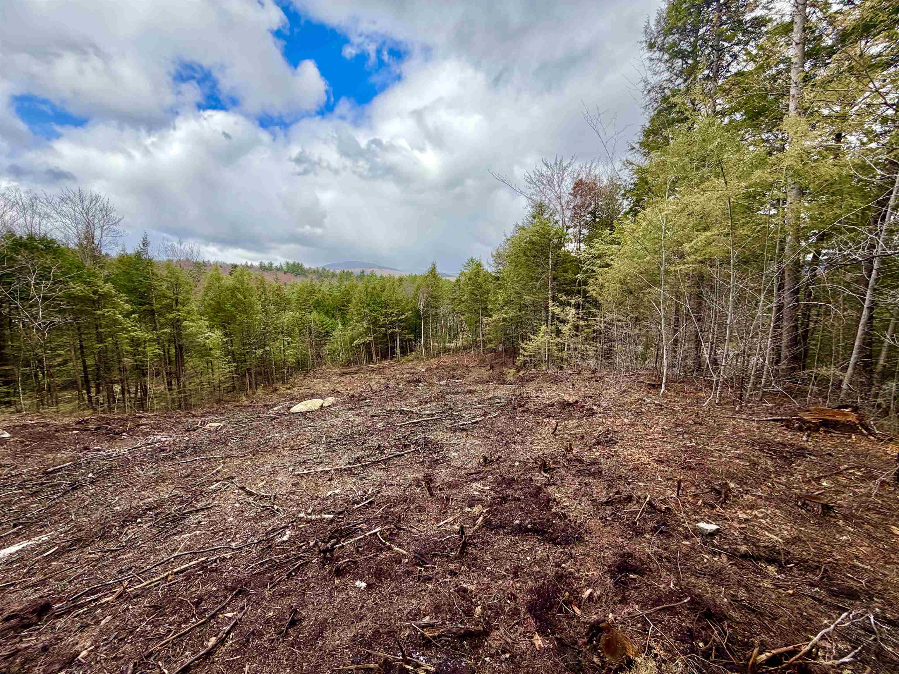 Waterthorn Road Thornton, NH 03285 - Photo 5 of 8