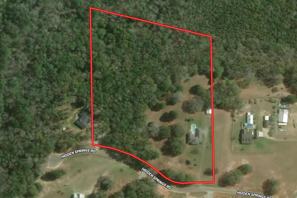 344 Hidden Springs Road Midland City, AL 36350 - Photo 64 of 64