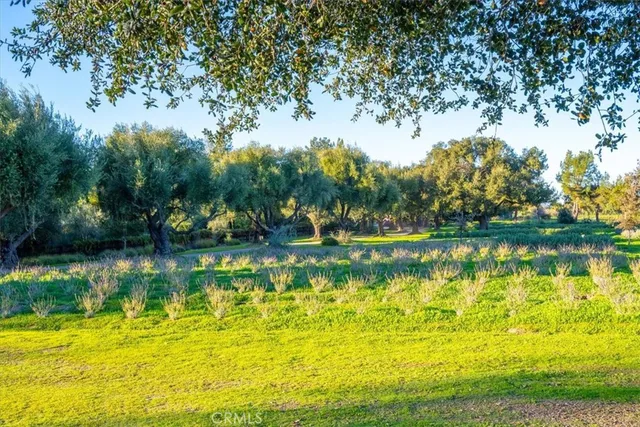$5,200,000 | 2480 Roblar Avenue, Los Olivos, CA 93441