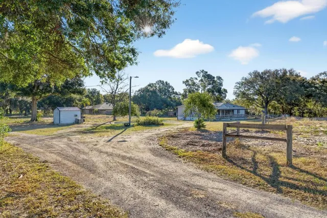 a view of a park with large trees