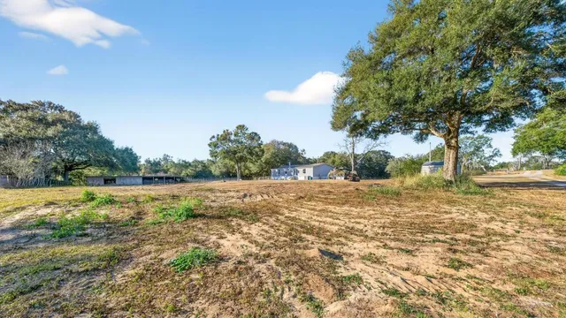 a view of a field with trees