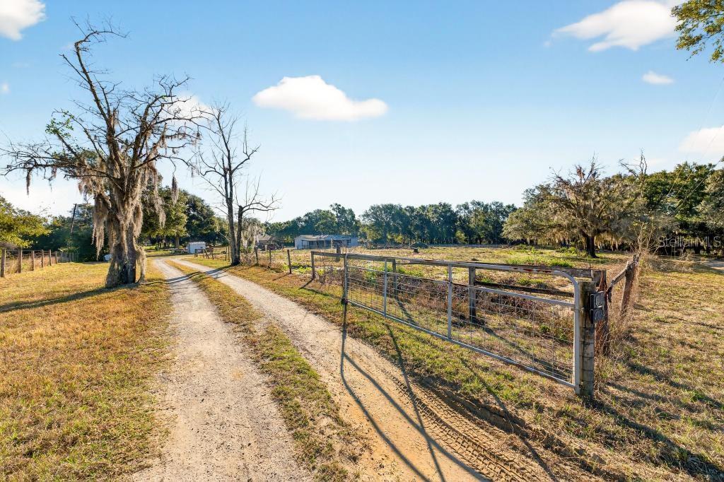 40100 Jim Scotts Road Leesburg, FL 34788 - Photo 37 of 40 a view of swimming pool with lounge chair