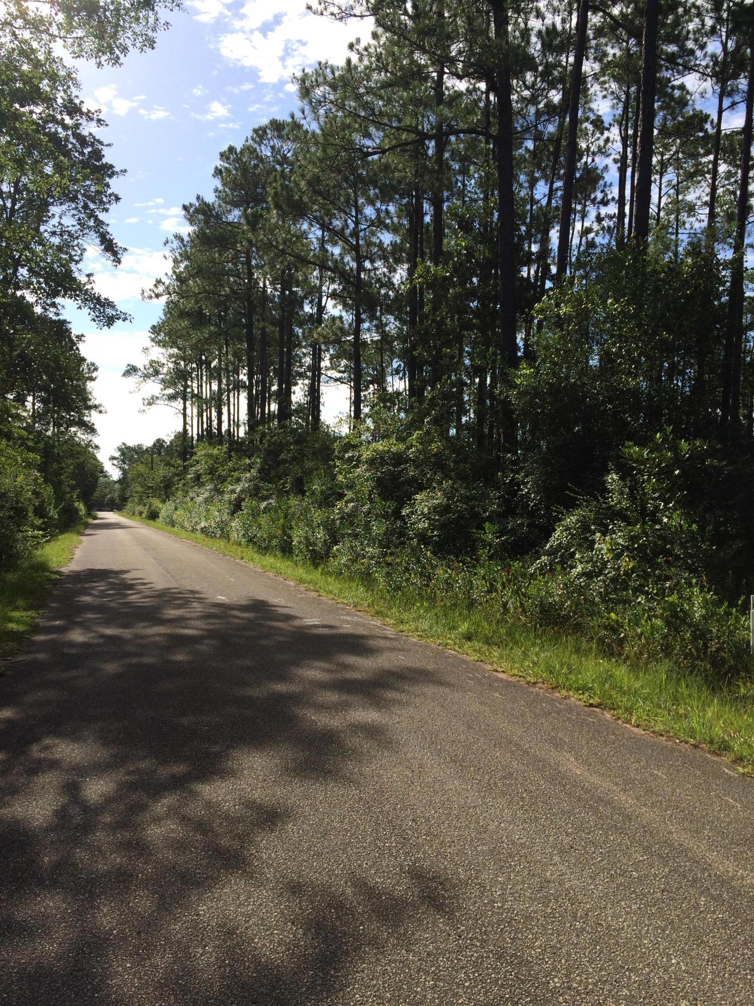 Xxx Richard Lane Road Milton, FL 32583 - Photo 2 of 5 Gallery Image 2