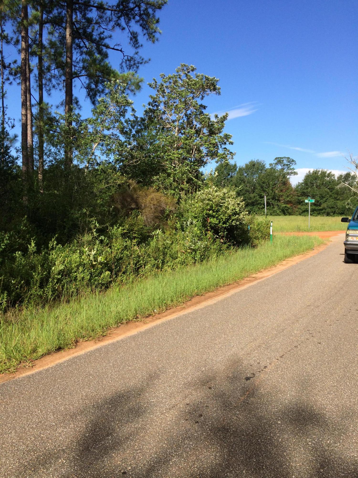 Xxx Richard Lane Road Milton, FL 32583 - Photo 3 of 5 Gallery Image 3