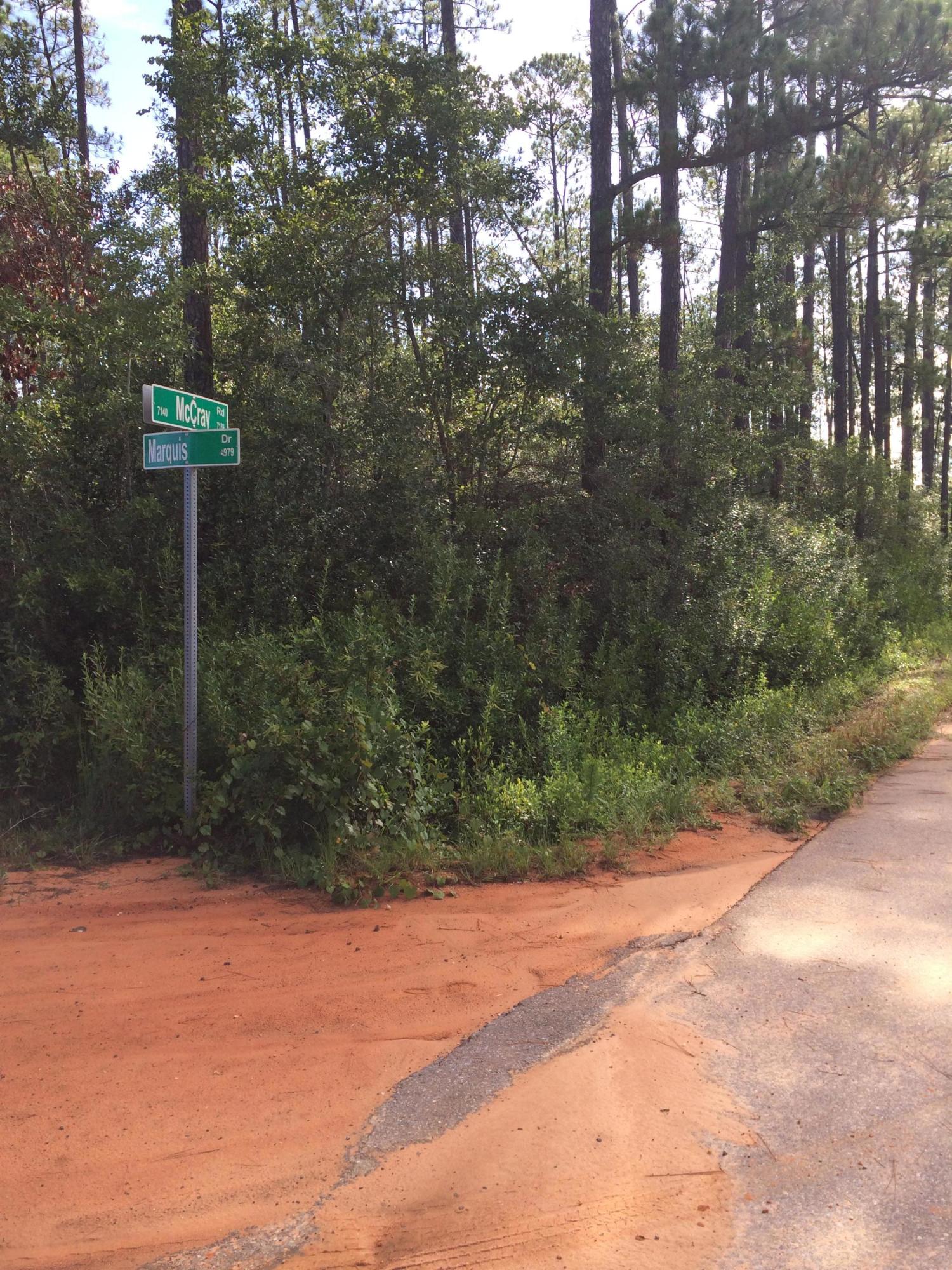 Xxx Richard Lane Road Milton, FL 32583 - Photo 5 of 5 Gallery Image 5