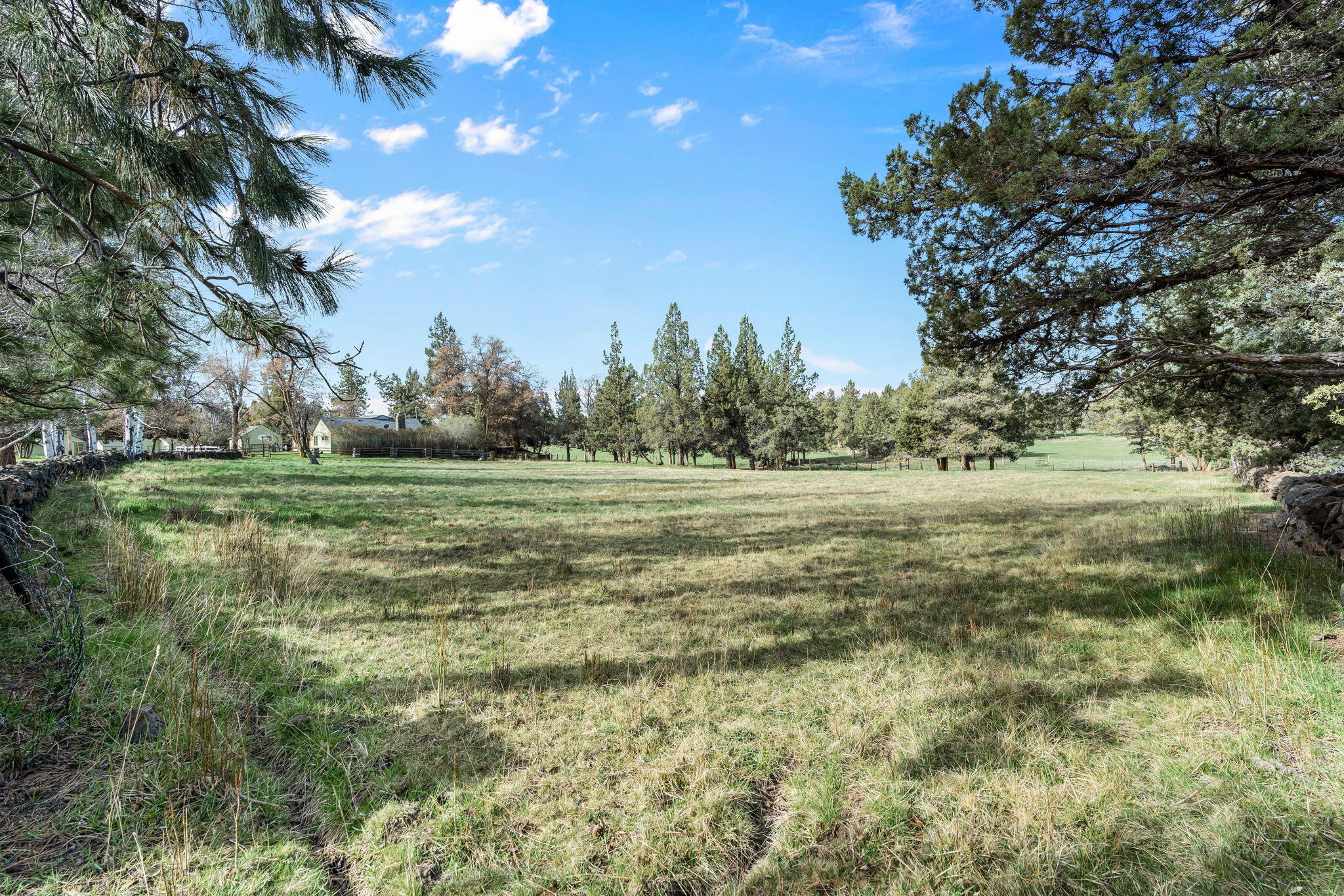 22655 Alfalfa Market Road Bend, OR 97701 - Photo 54 of 58 Front pasture. 2 acres of water rights - COI