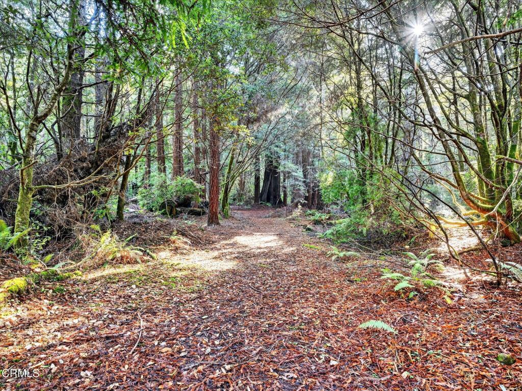 19400 Dorffi Road Fort Bragg, CA 95437 - Photo 43 of 49 48-web-or-mls-DSC06312