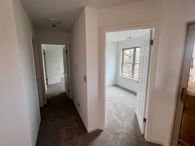 a view of a yard from a window