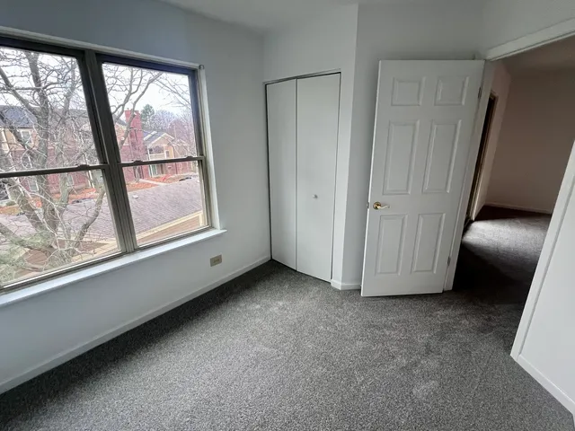 a view of a garden from a window