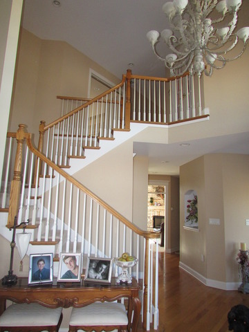 123 Silo Ridge Road West Orland Park, IL 60467 - Photo 11 of 25