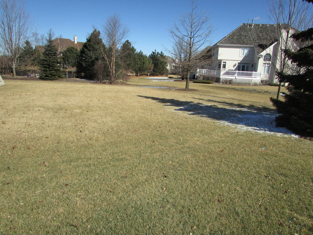 123 Silo Ridge Road West Orland Park, IL 60467 - Photo 23 of 25