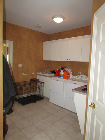 123 Silo Ridge Road West Orland Park, IL 60467 - Photo 24 of 25