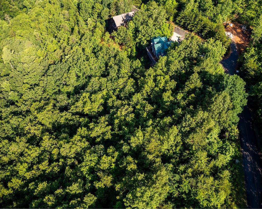 36 Harvest Moon Road Sevierville, TN 37862 - Photo 31 of 48 Gallery Image 31