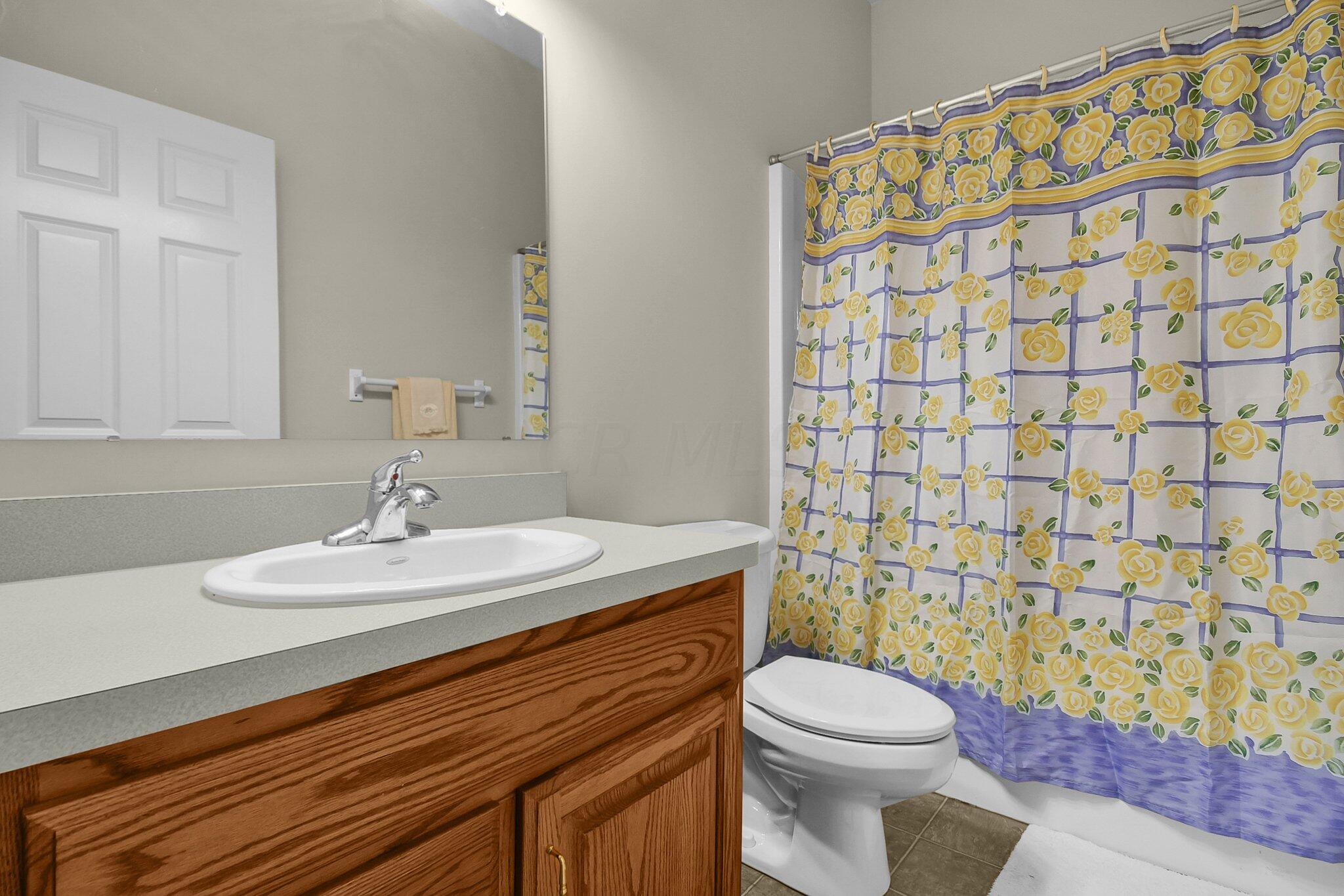 15125 Smart-Cole Road Ostrander, OH 43061 - Photo 42 of 63 Basement full bath