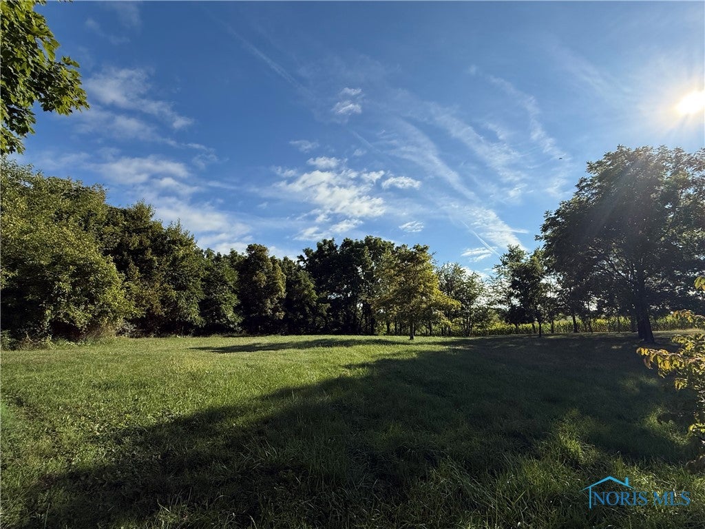 16707 Williams County Rd K West Unity, OH 43570 - Photo 6 of 8 Gallery Image 6