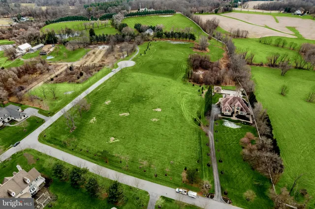 a view of a garden with a lake