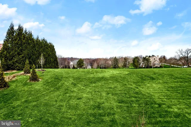 a view of field with trees in the background