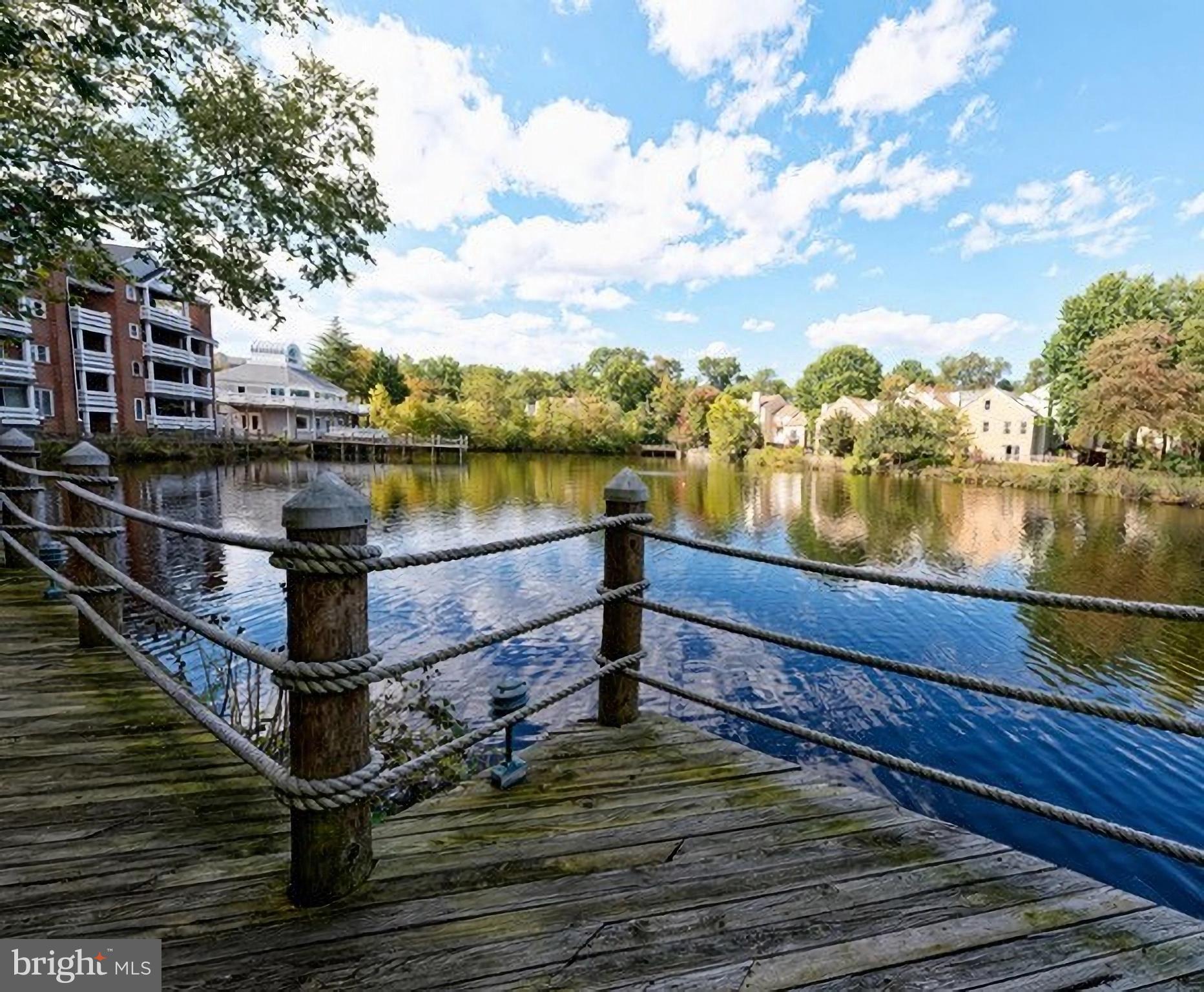 3152 B Covewood Court Falls Church, VA 22042 - Photo 17 of 26 a view of a lake with wooden bridge