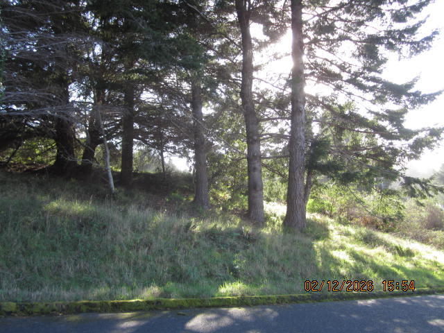 576 Ridge Road Shelter Cove, CA 95589 - Photo 18 of 22 Front