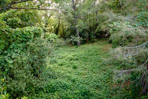 585 Mountain Road Westminster, SC 29693 - Photo 2 of 20 Discover a verdant expanse of land bordered by mature trees, offering ample space for development.