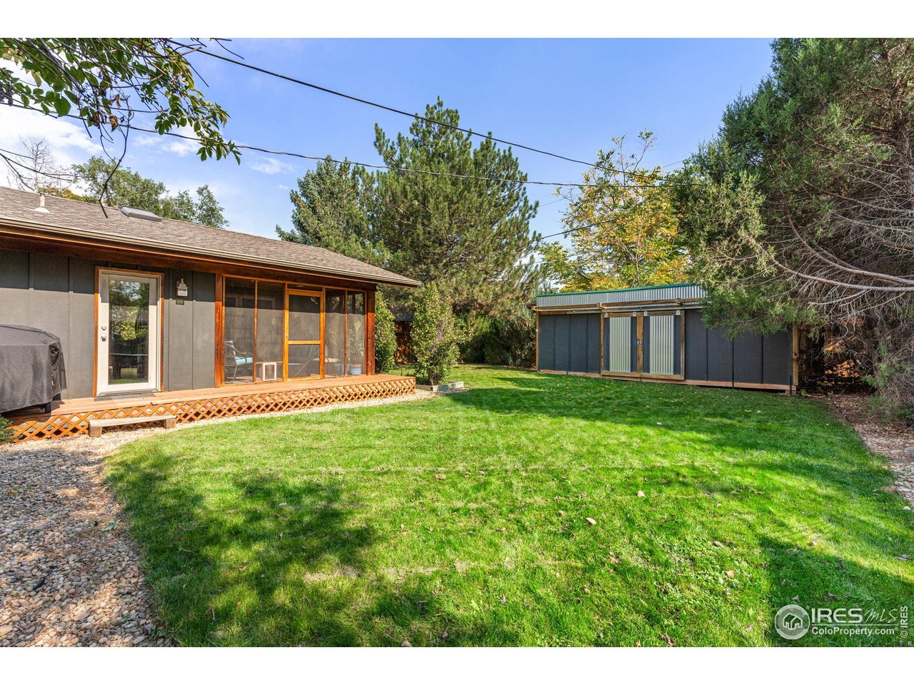 5604 Bowron Place Longmont, CO 80503 - Photo 33 of 37 a house with a tree in front of it