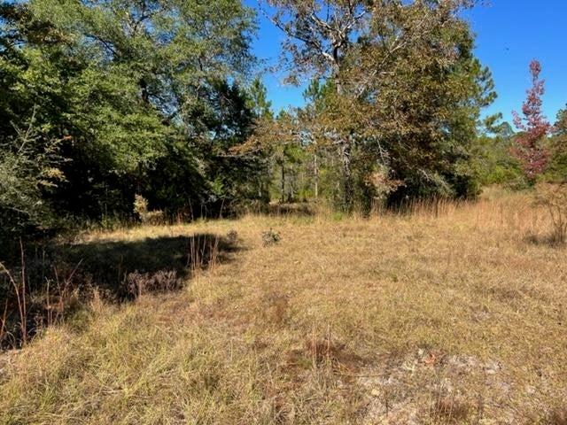 0 Unnamed Road Florala, AL 36442 - Photo 14 of 39 Gallery Image 14