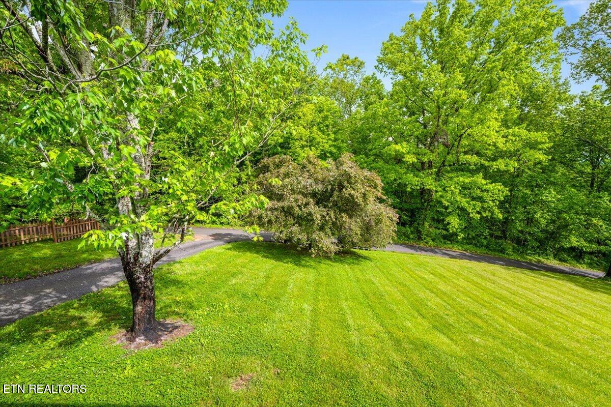 226 McKinney Road La Follette, TN 37766 - Photo 37 of 43 44-226 McKinney Rd