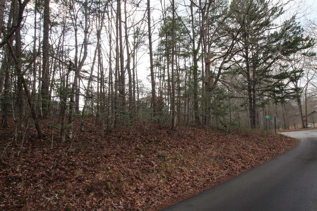 0 Old Evans Road Murphy, NC 28906 - Photo 4 of 13 Gallery Image 4