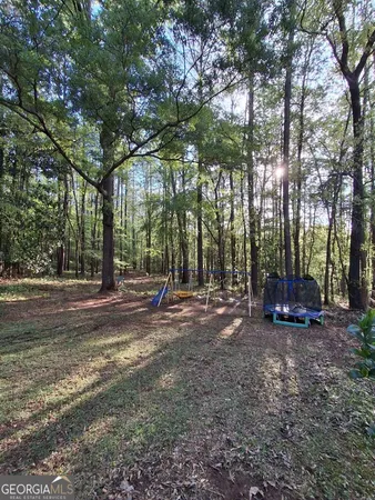 a view of a park with large trees